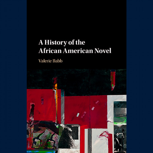 A History of the African American Novel