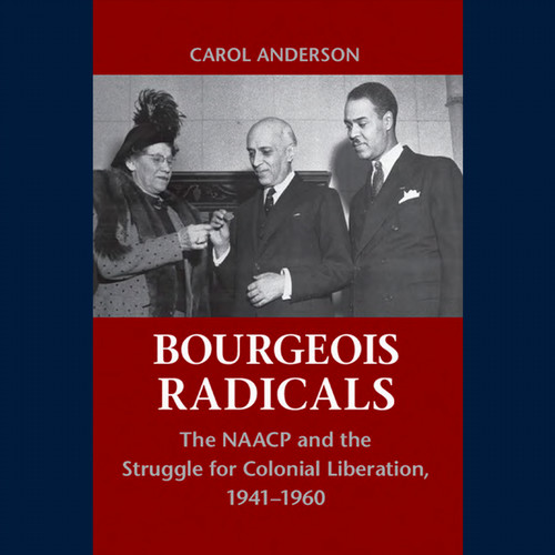 Bourgeois Radicals